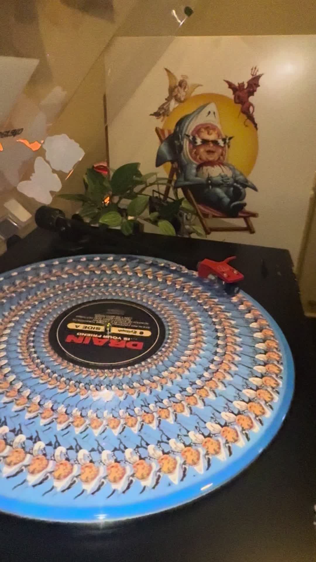@vinylHemi