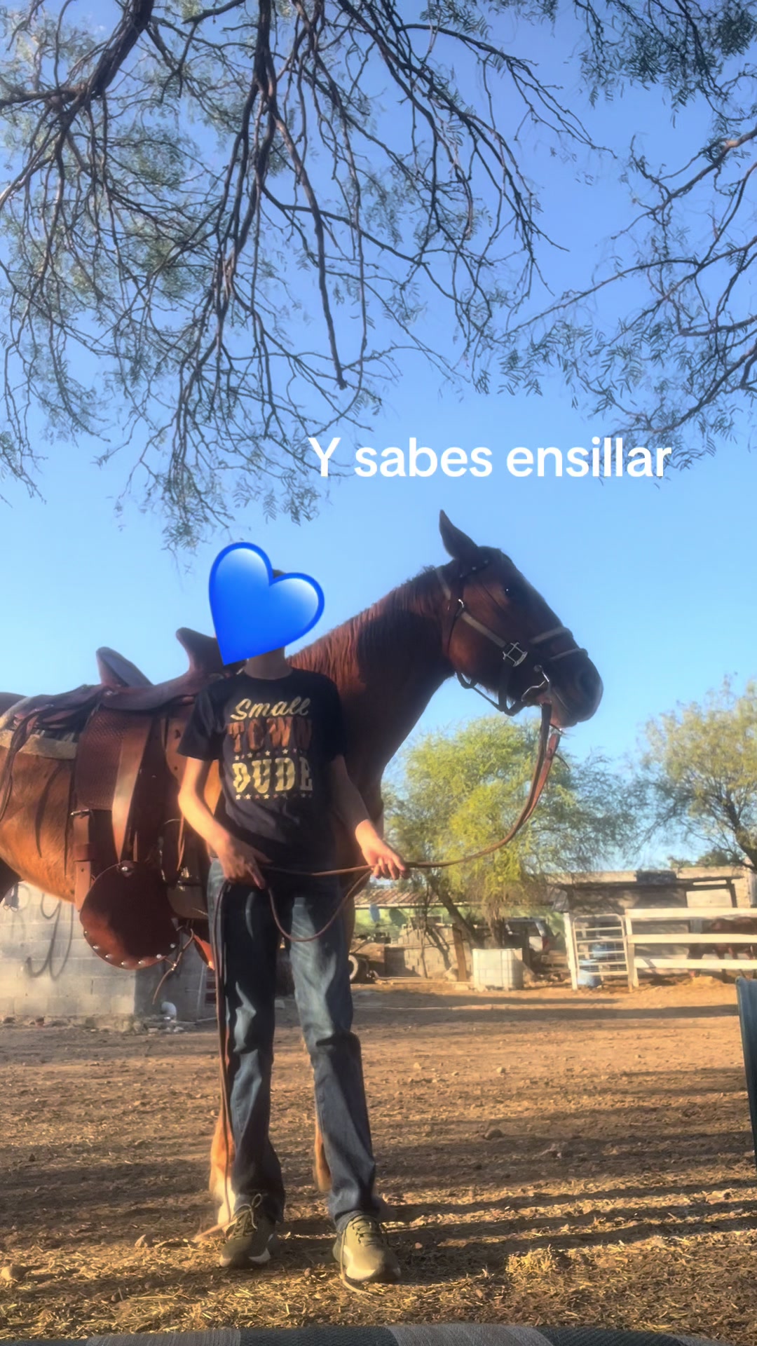 @🫐Aleankat🫐