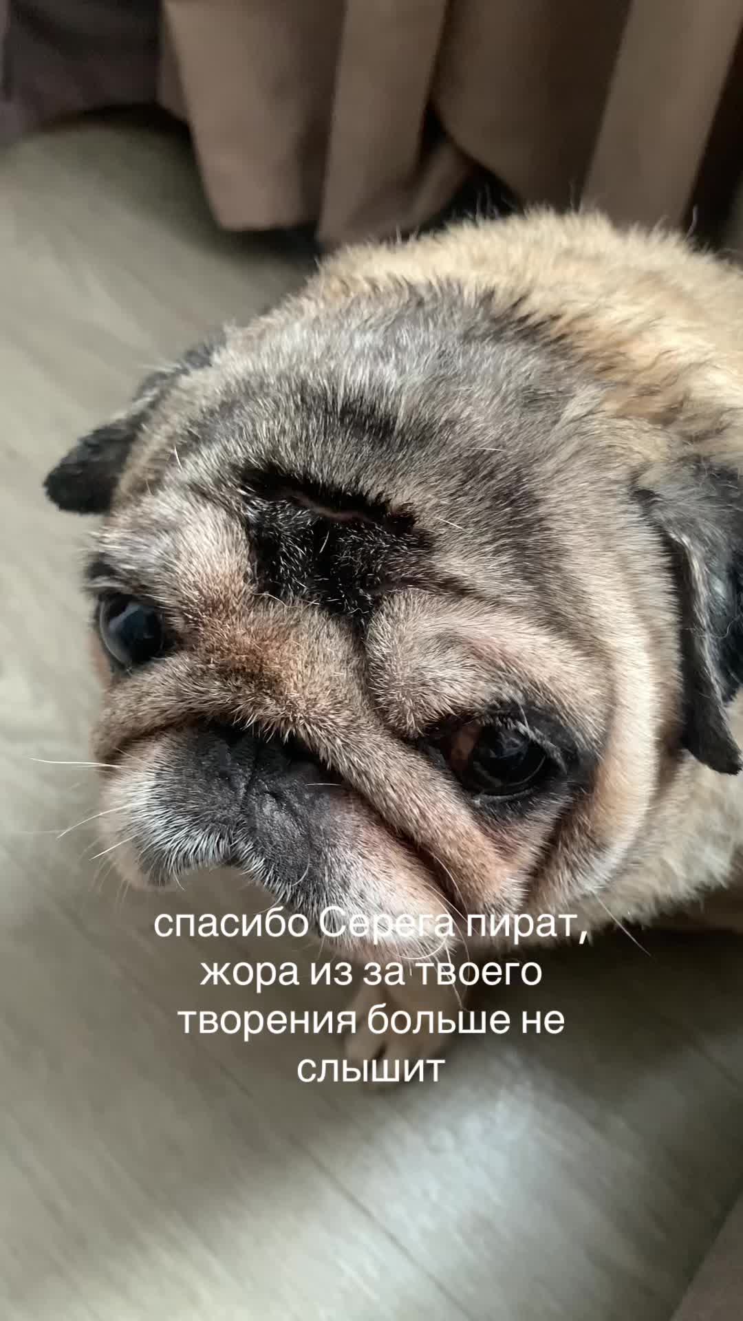 @Тру: ЖоРкА