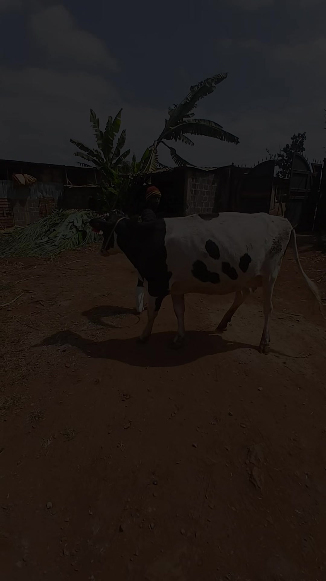 @Dennis Mukundi Wambui
