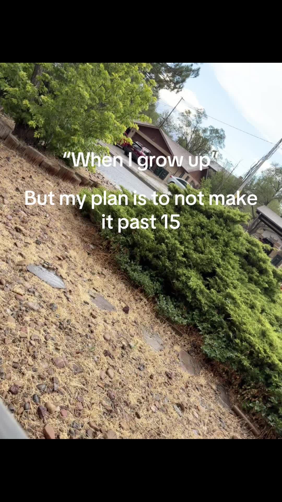 @🦓