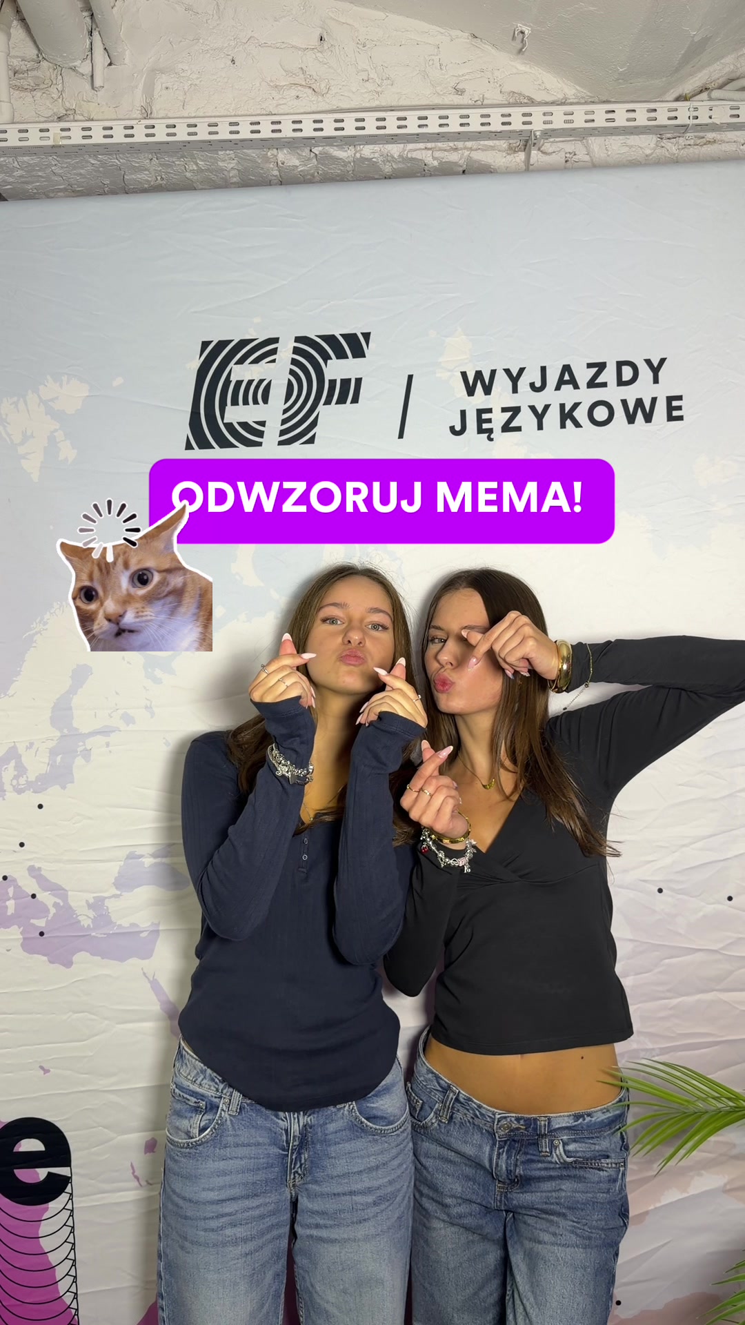 @EF Polska