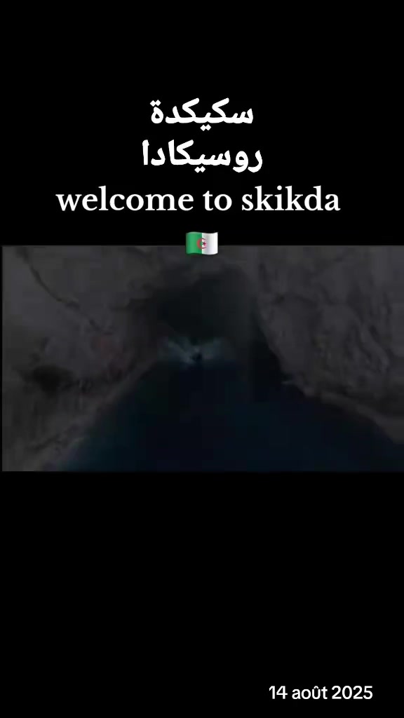 @Dassa.Mustapha🦍🇩🇿