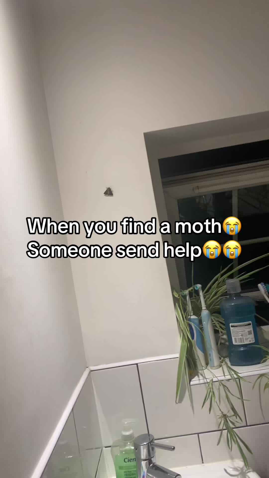 @shan_xoxo