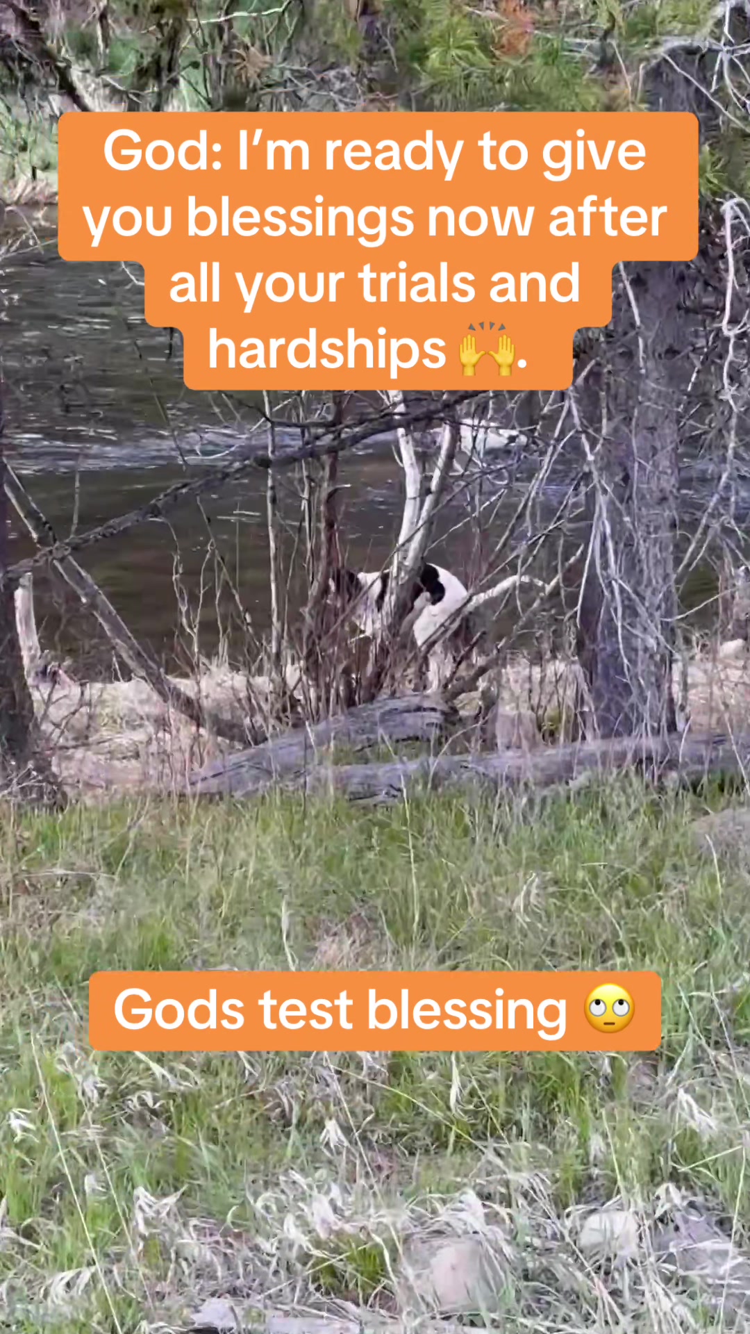 @🏔️Idaho Outdoors Brandi🌲🏔️
