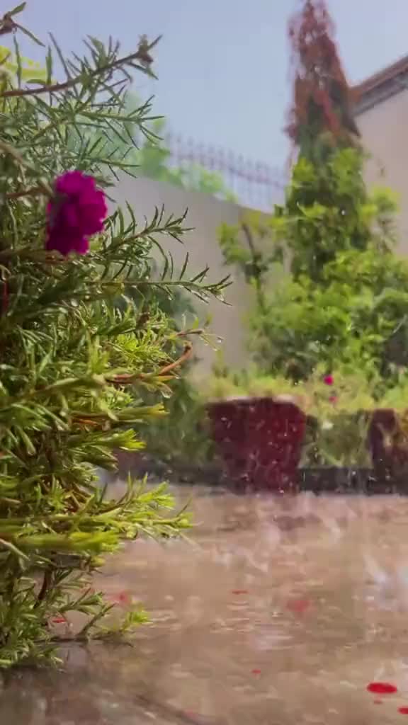 @Hijab Queen 👑👑