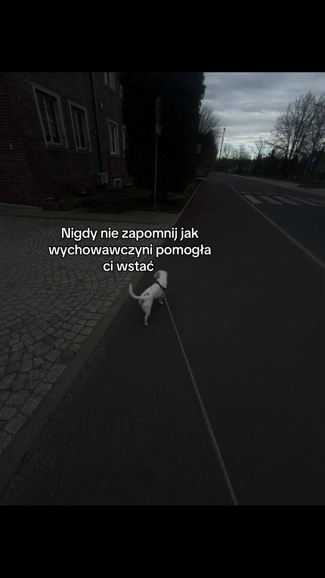 @🐾🦦✿𝖆𝖓𝖉𝖟̇𝖊𝖑𝖆✿🐾🦦
