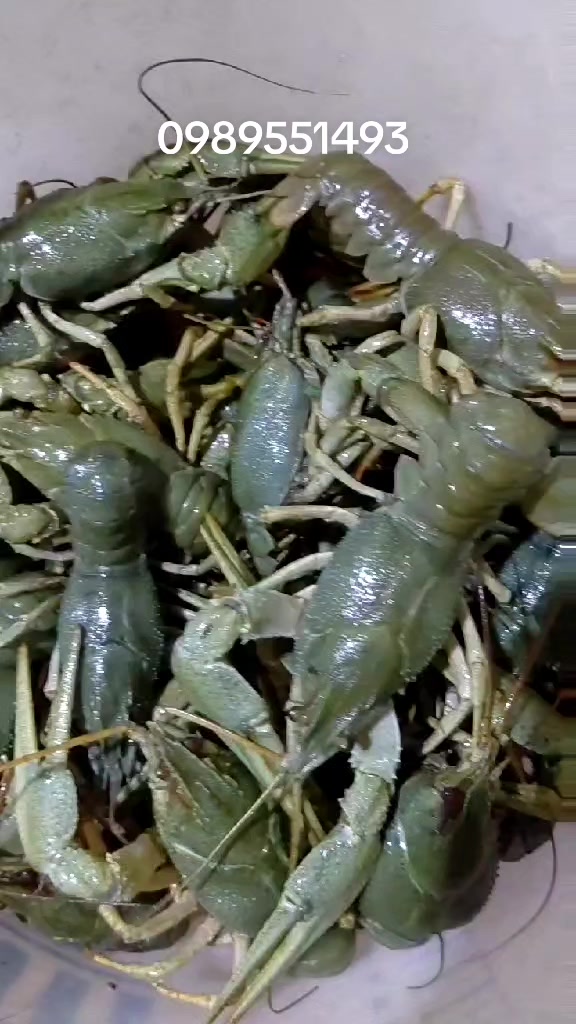 @Раки Умань