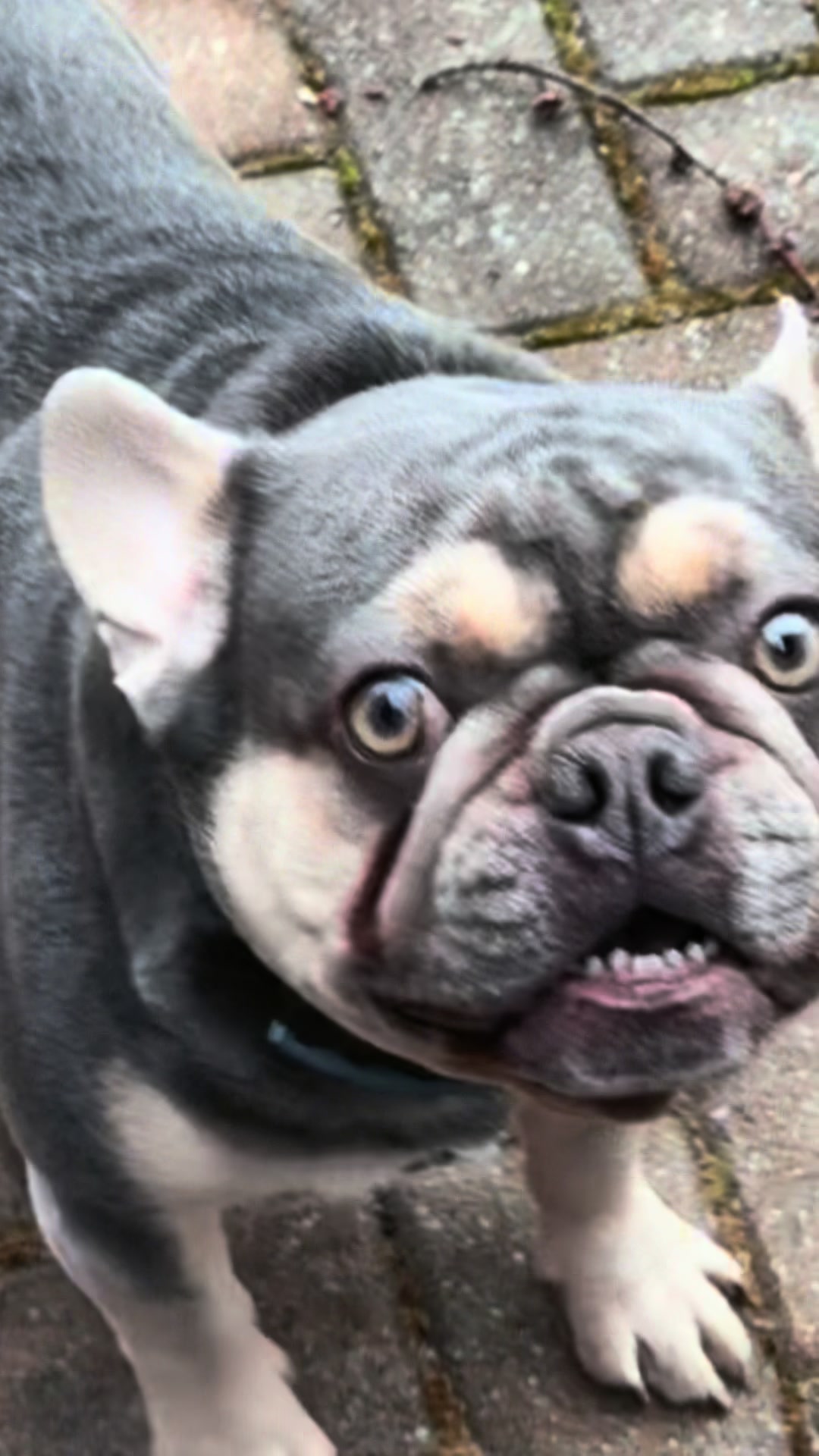 @IamWalter