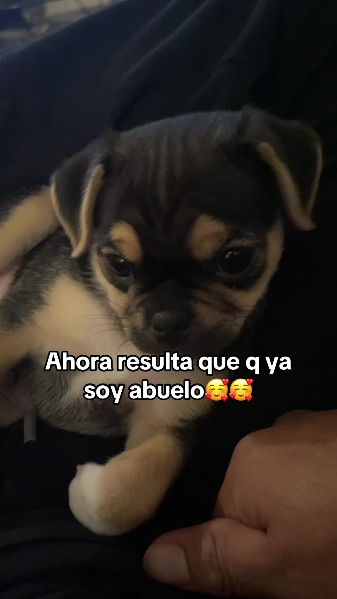 @Norberto Ortiz