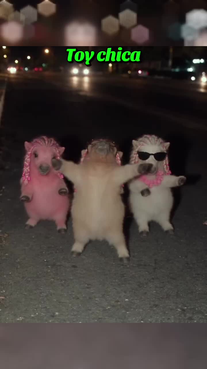 @Toy chica