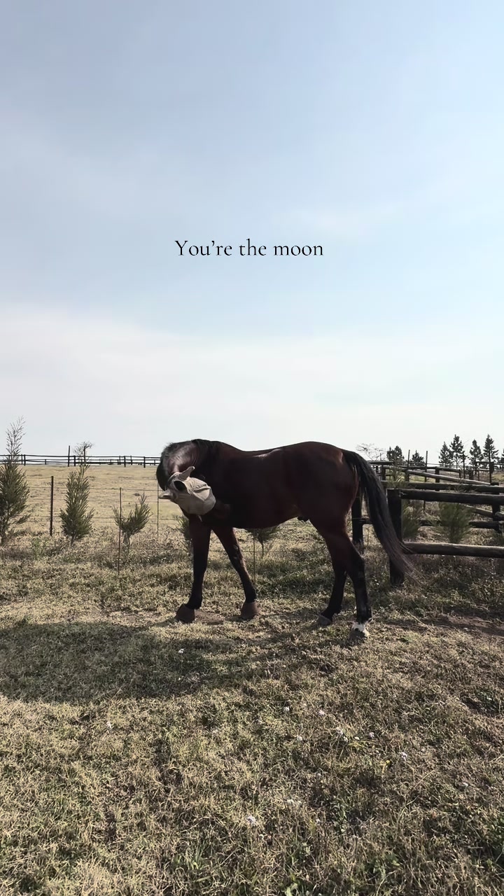 @Chad Hoggan