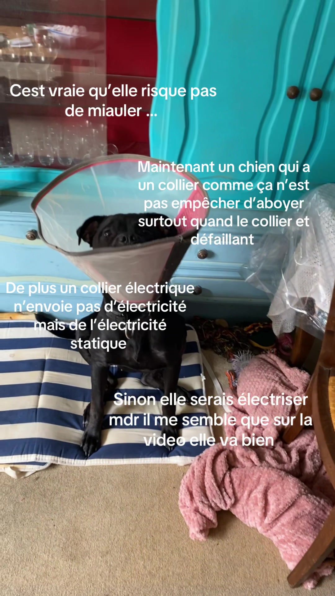 @les.aventures.de.naya