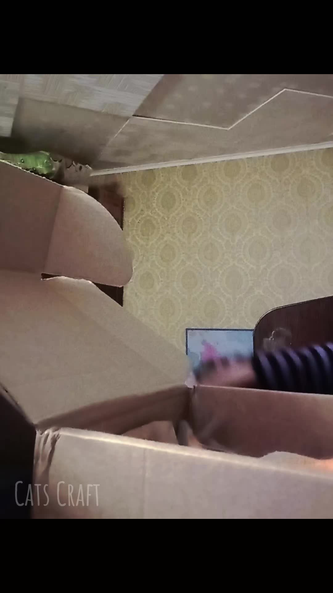 @CatsCraft🐾