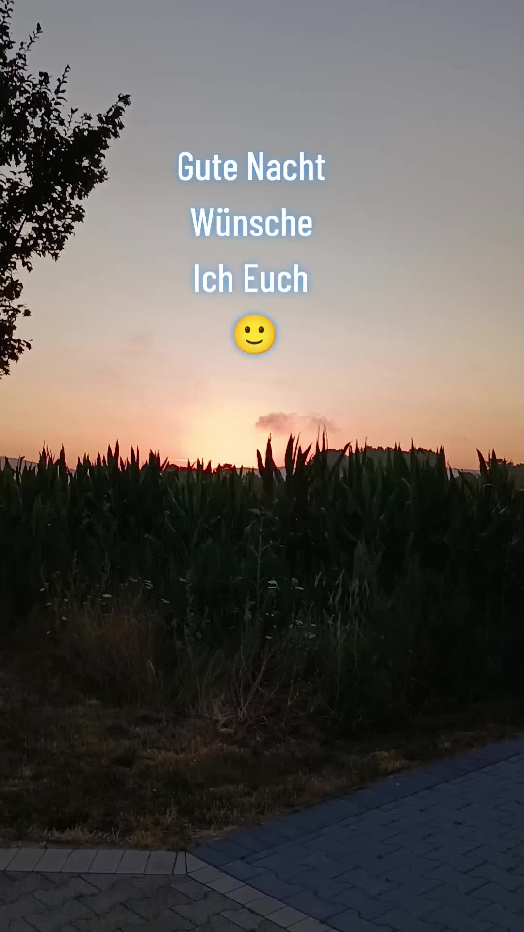 @44OLA4