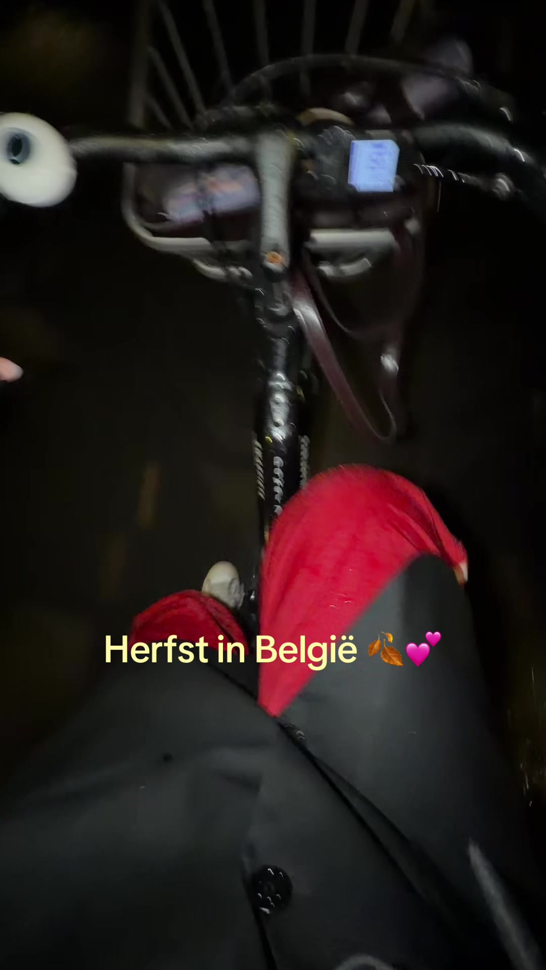 @Kato van Hassel