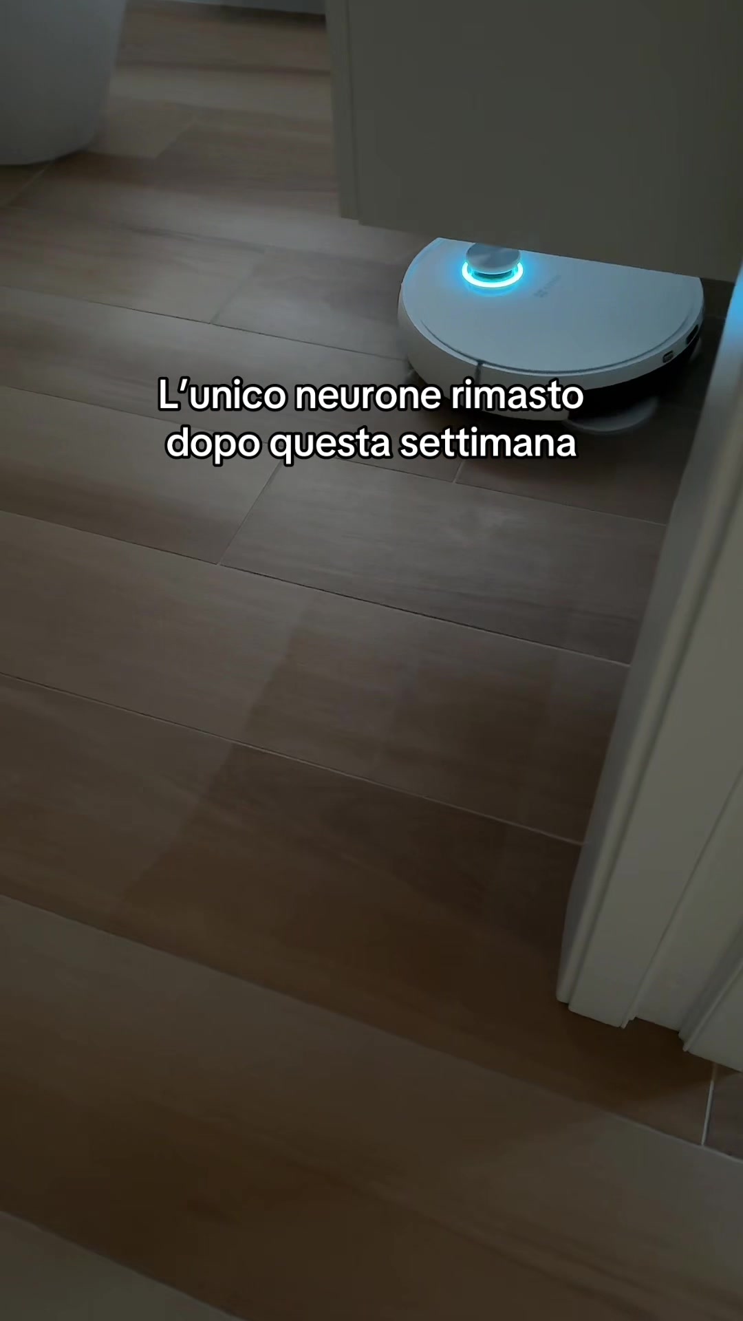 @Enia