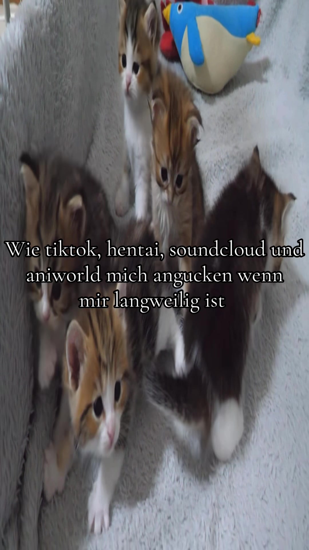 @Eierkopfsalat