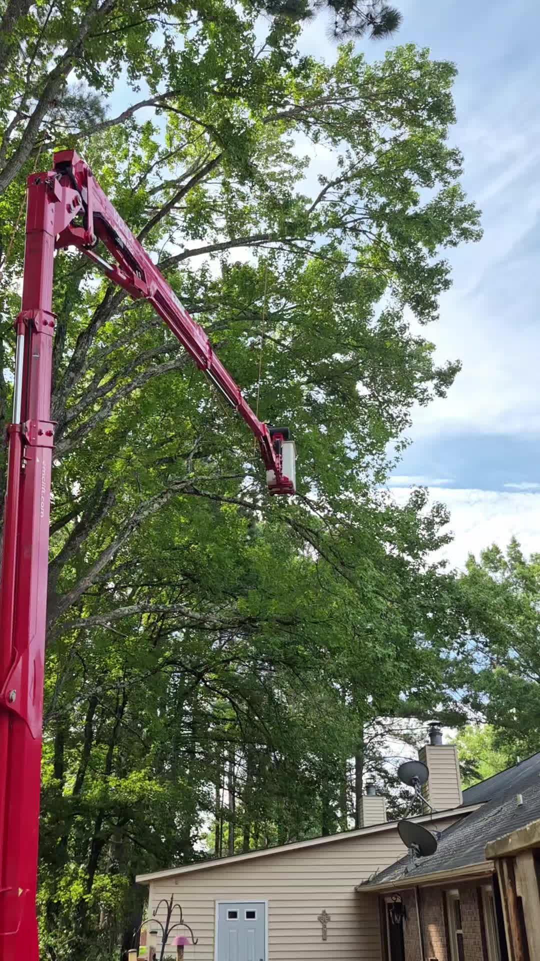 @R&G tree and landscaping