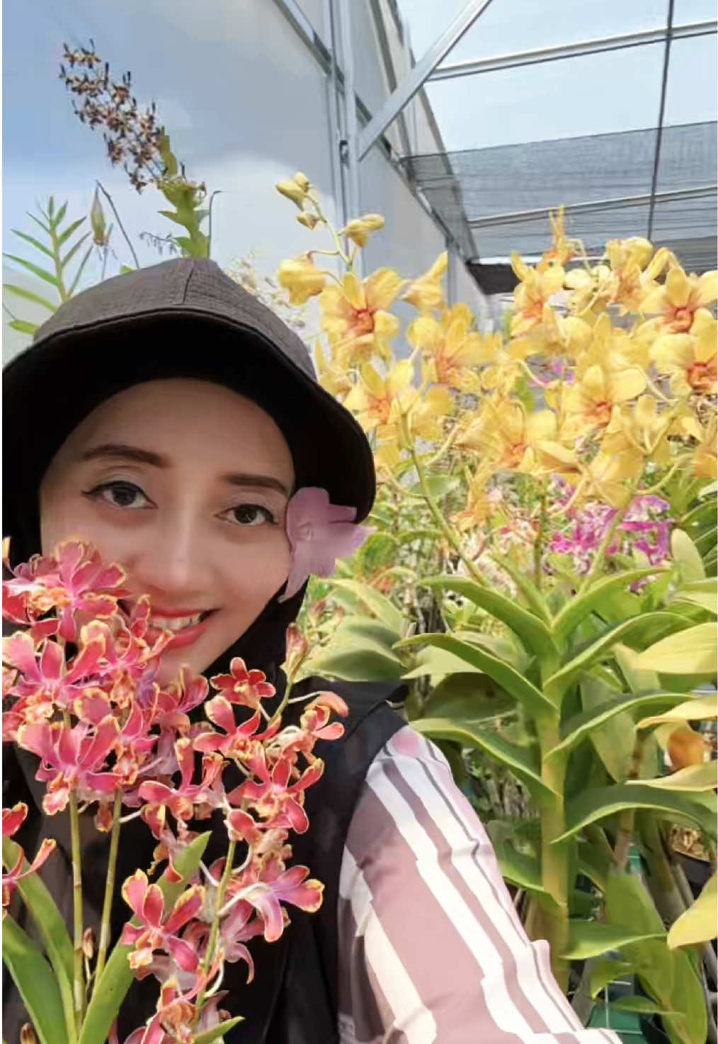 @Anggina Orchid