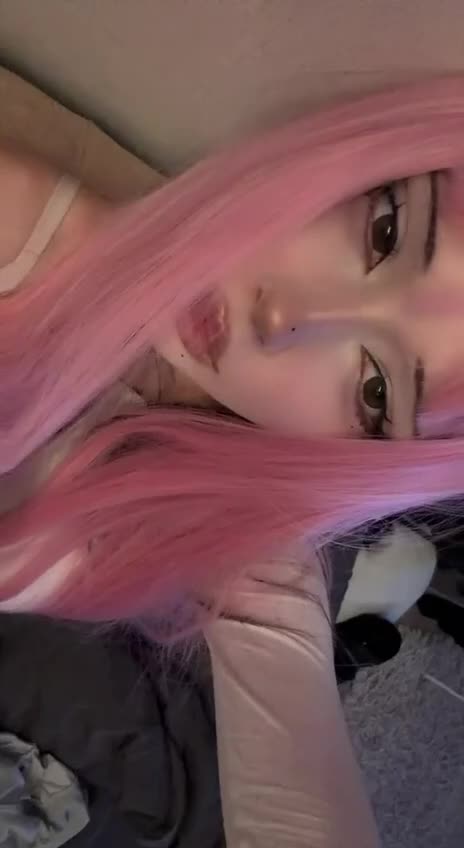 @user1337