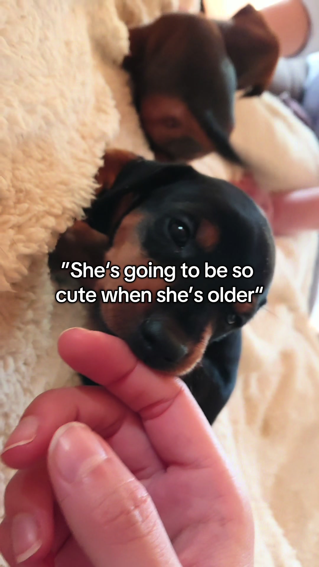 @AlvaTheHotDog