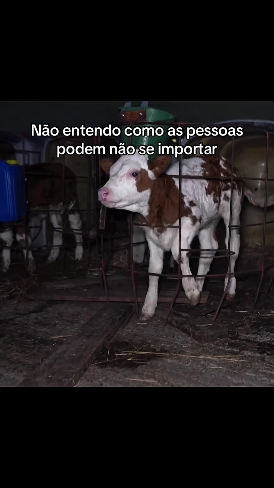 @Carne é cruel