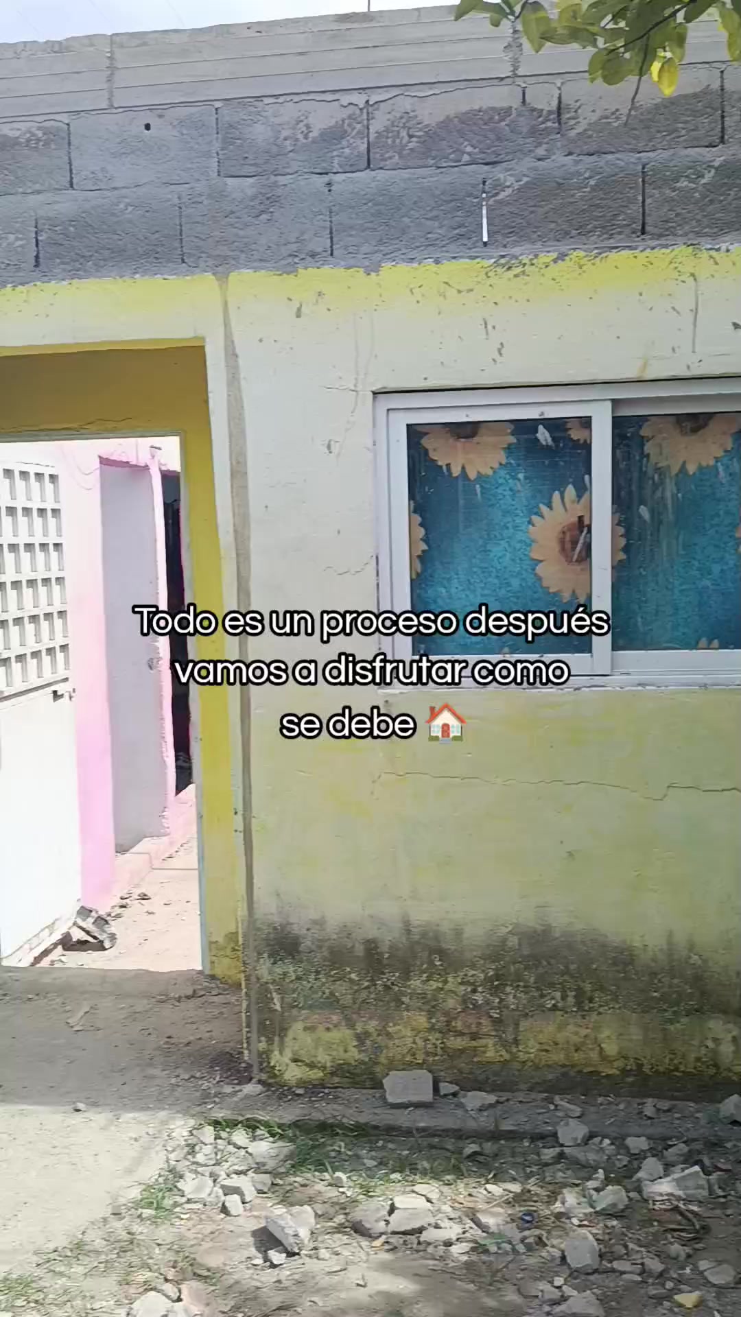 @JAVILE.
