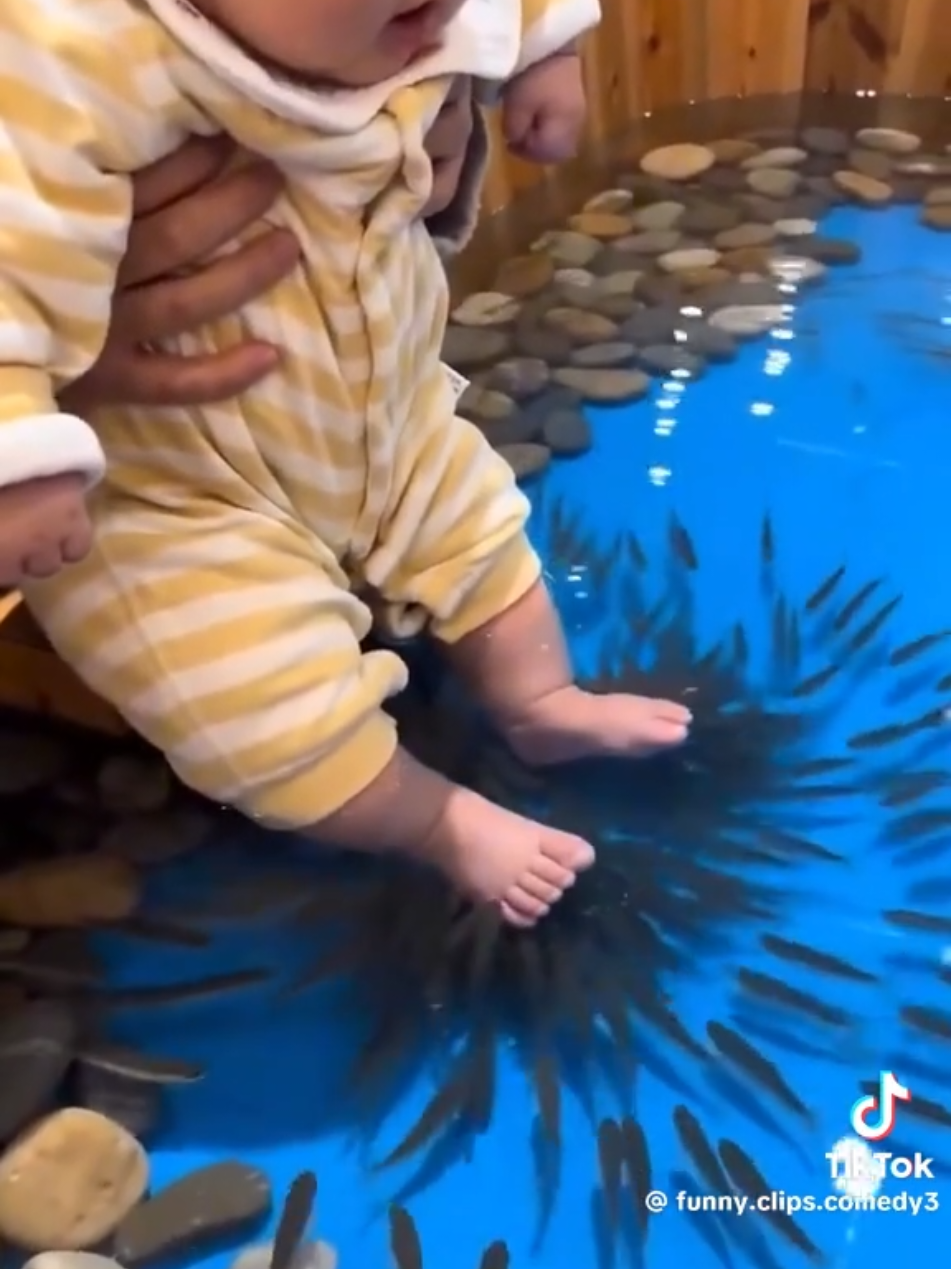 @Funny Video Reels