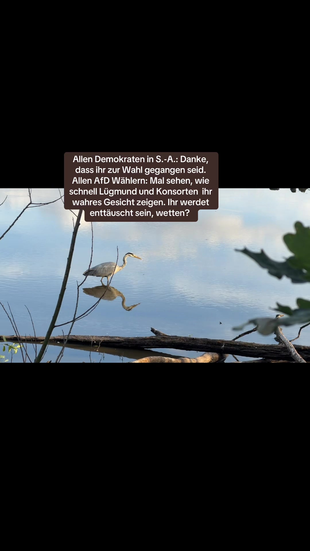 @Contra.AfD