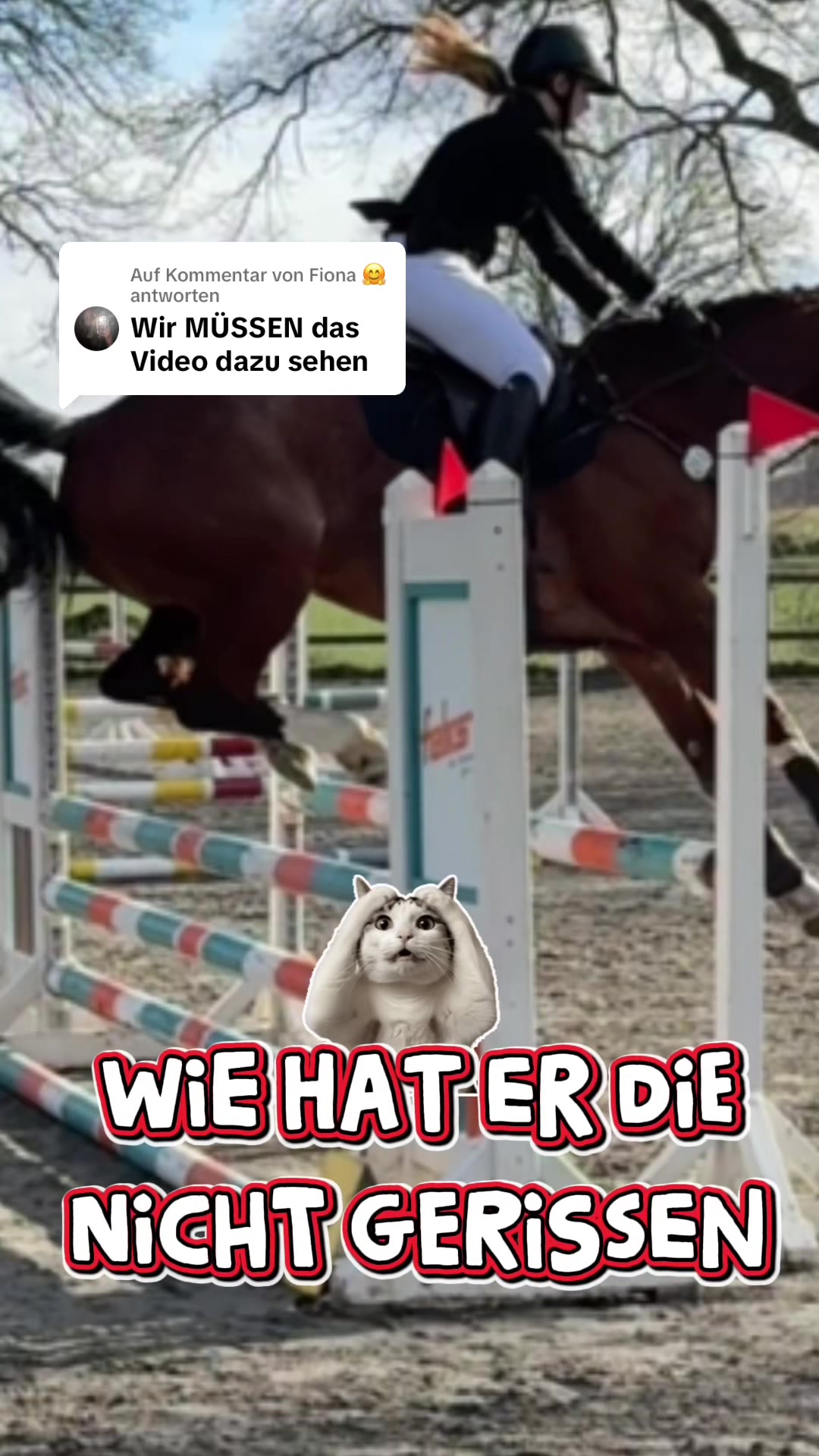 @Bubi und Amelie