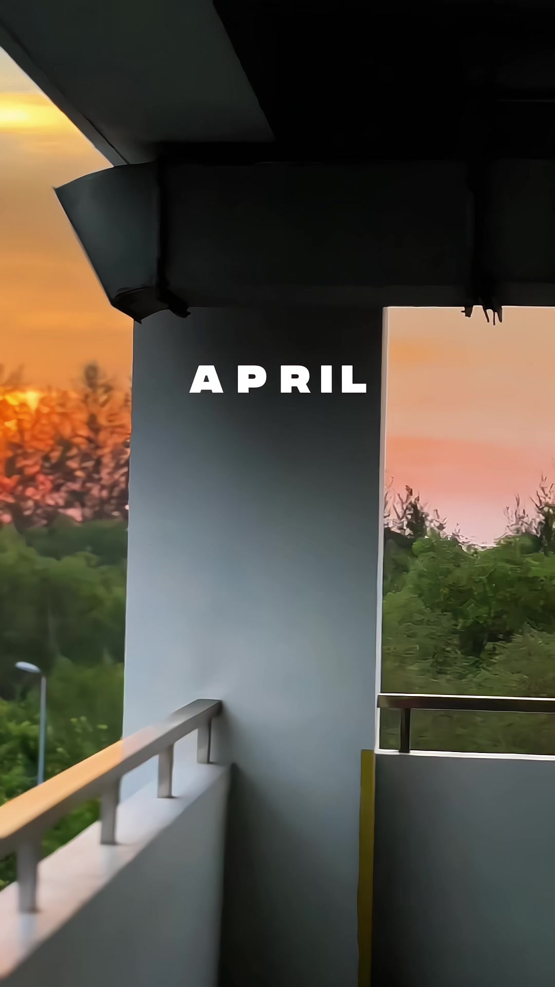 @M Y V I   T O O T H L E S S