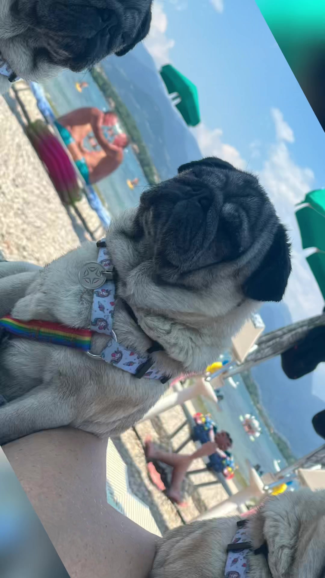 @Ciuciu&Carlotta
