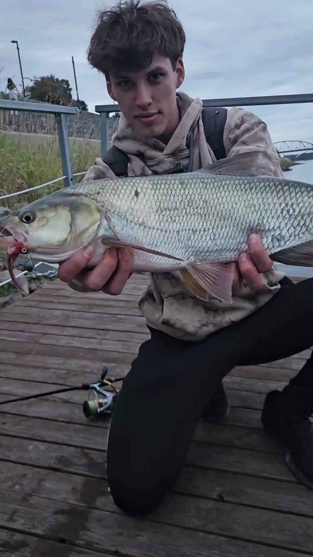 @mfly_lures