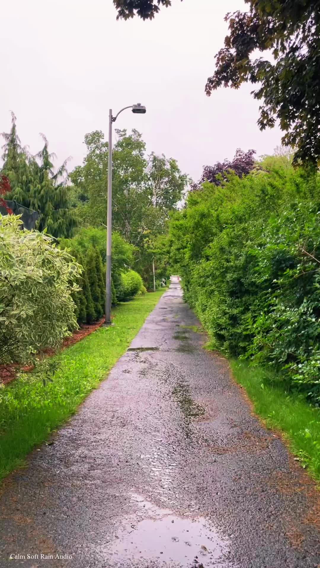 @Calm Soft Rain Audio
