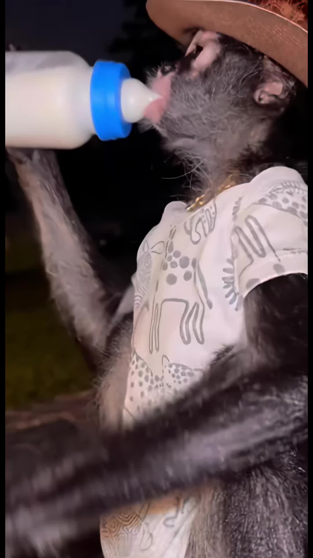 @Pedro Cruz