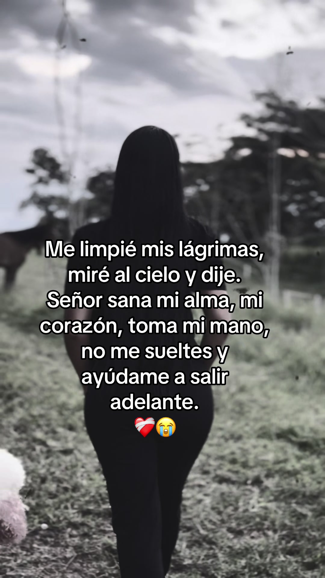 @EUGENIA BELTRÁN