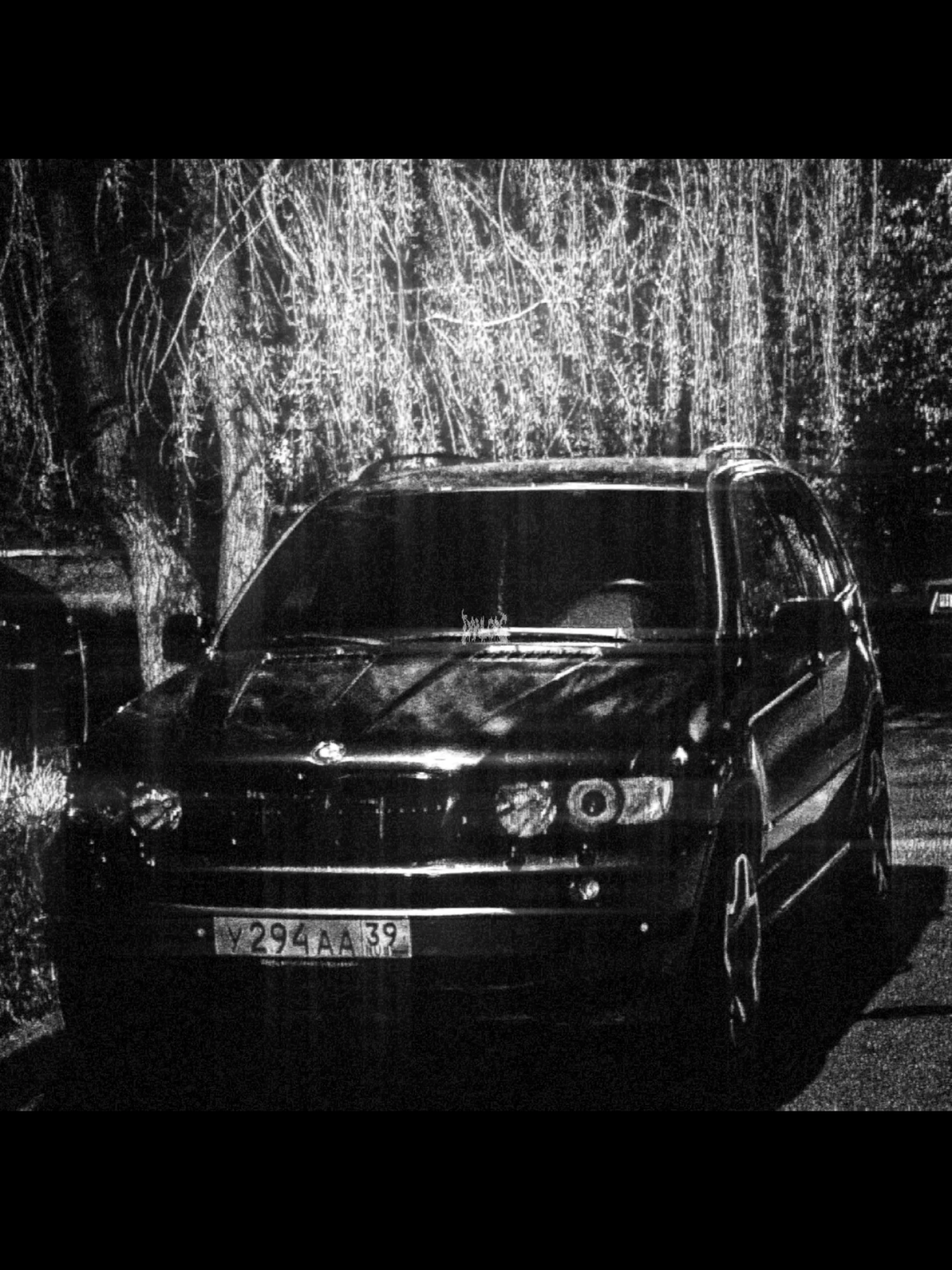 @Kaliningradskiy