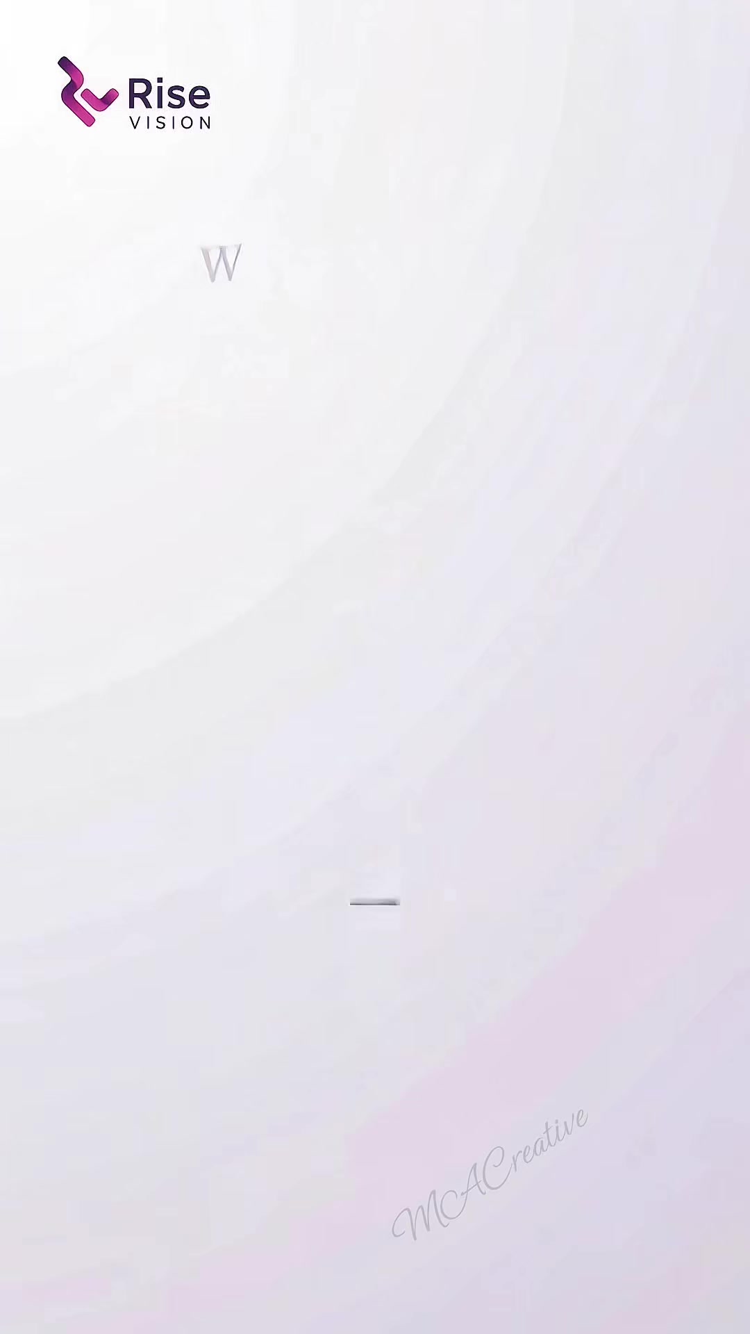 @risevisionconsulting
