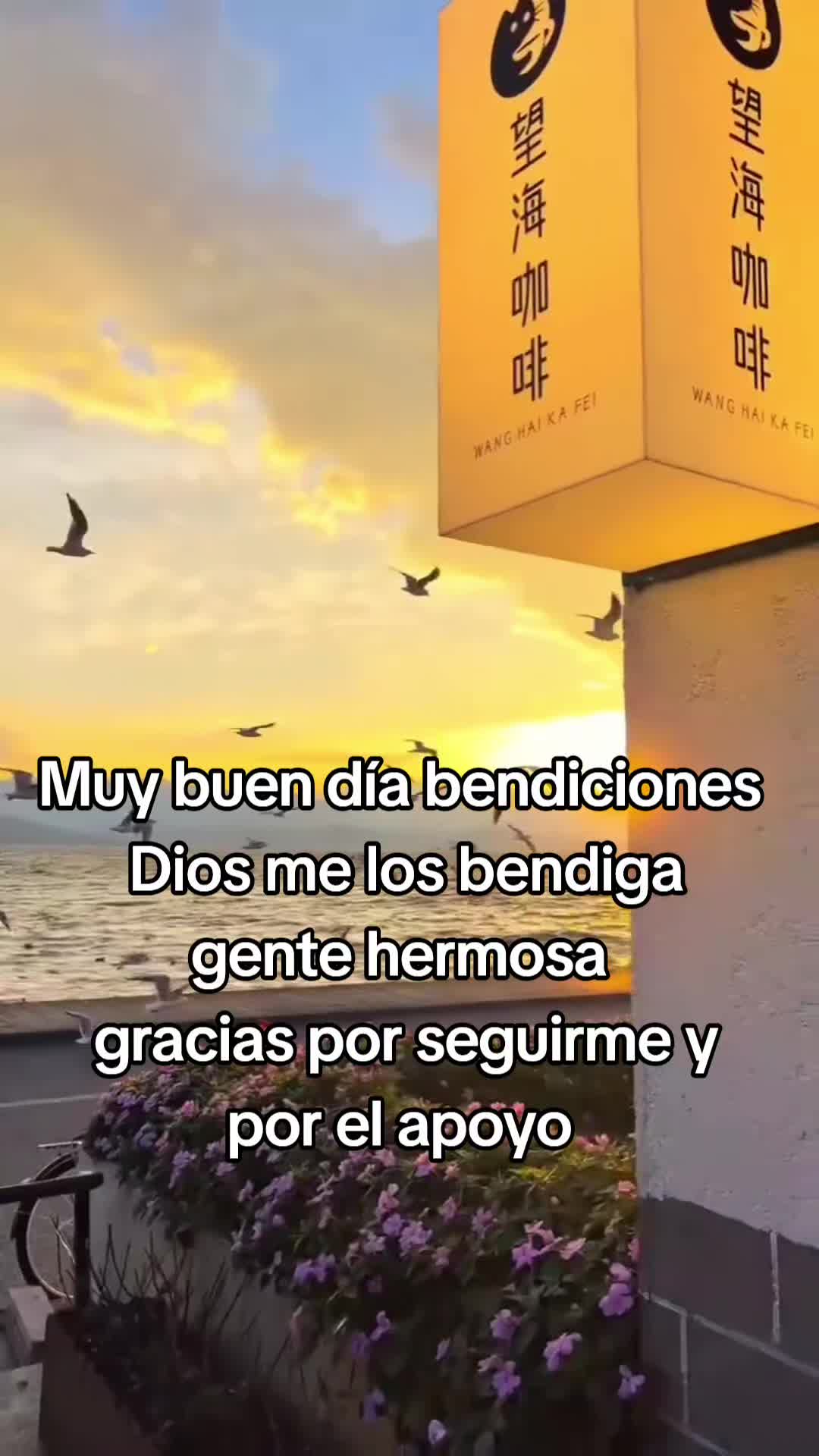 @noe