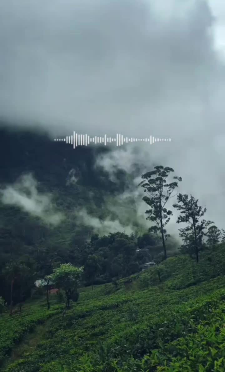 @𝗡𝗮𝗳𝗮𝗮