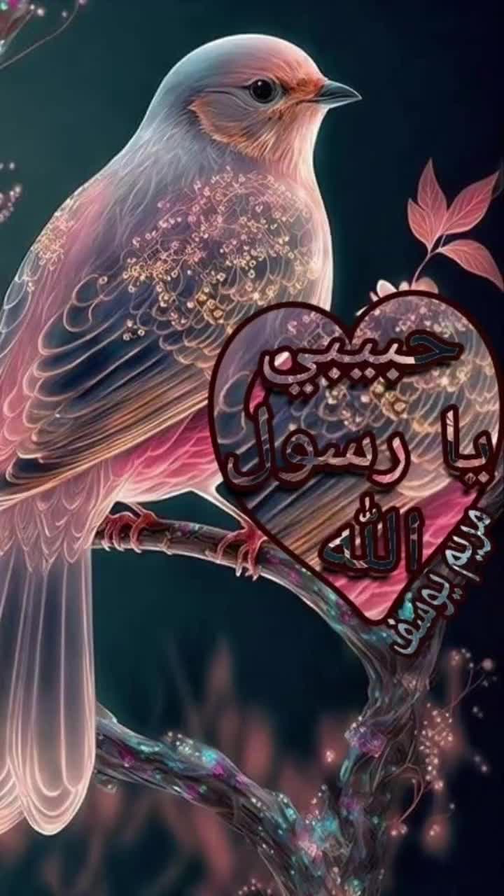 @💙NAOUAL💙