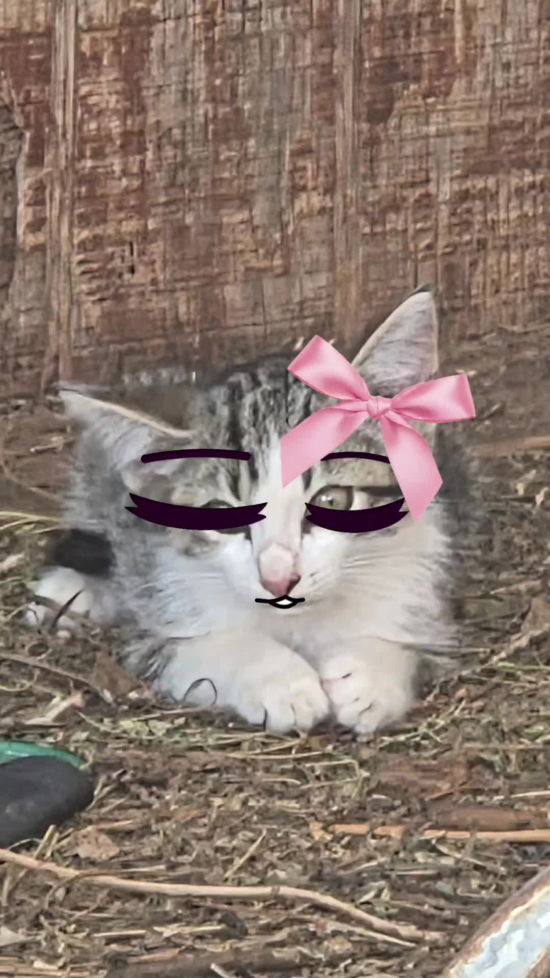 @Julia(DUCK ARMY SOLIDER)