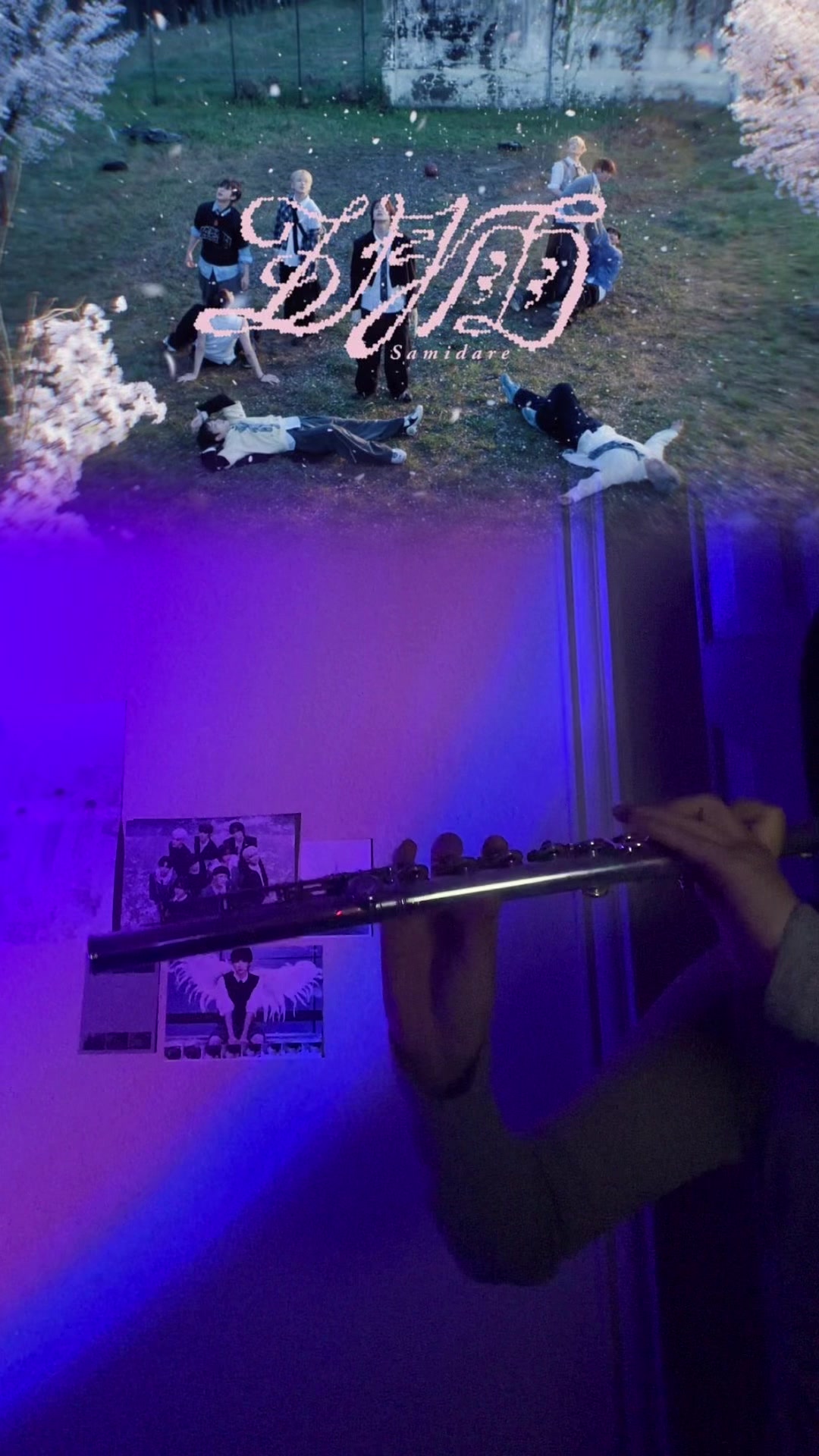 @₍^. .^₎⟆