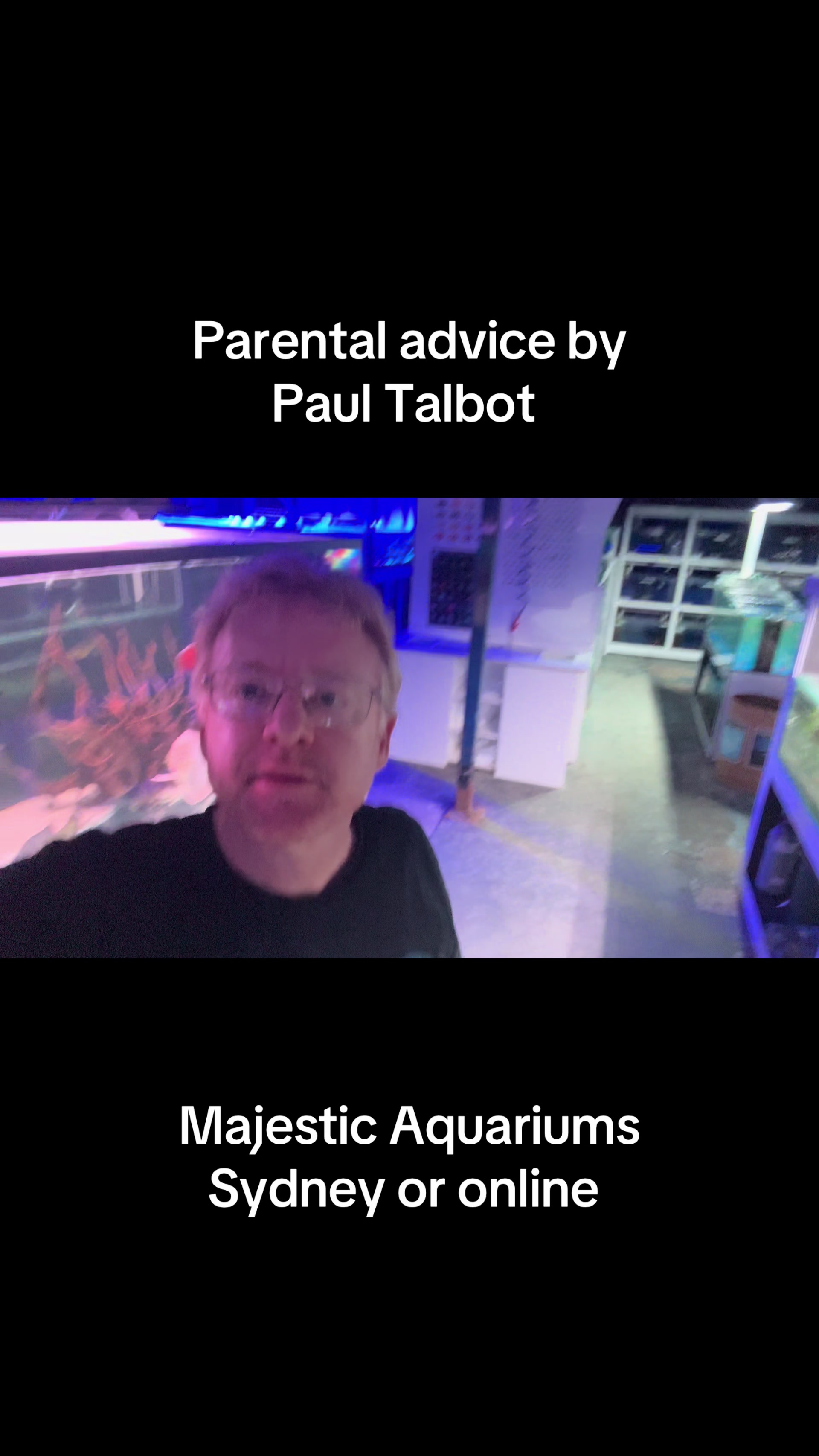 @Majestic Aquariums - Sydney