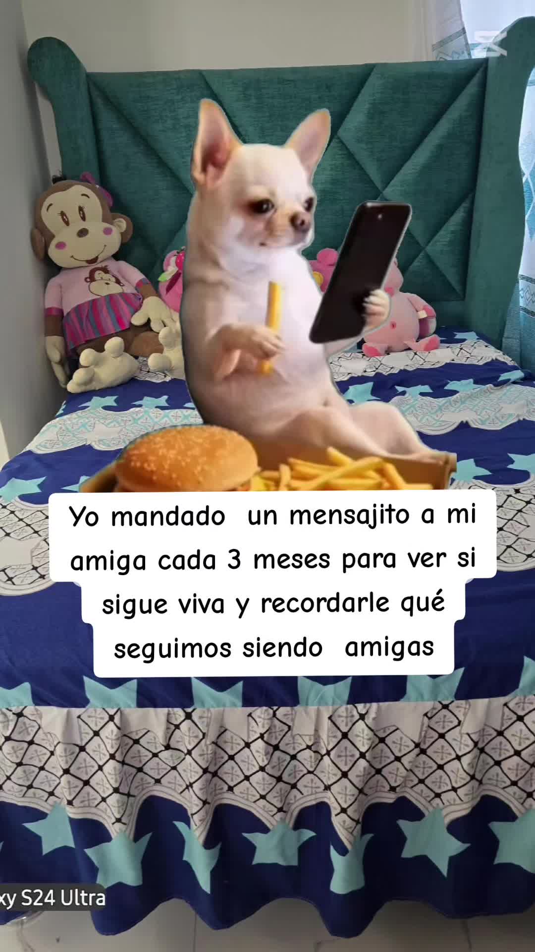 @Barbara Roo