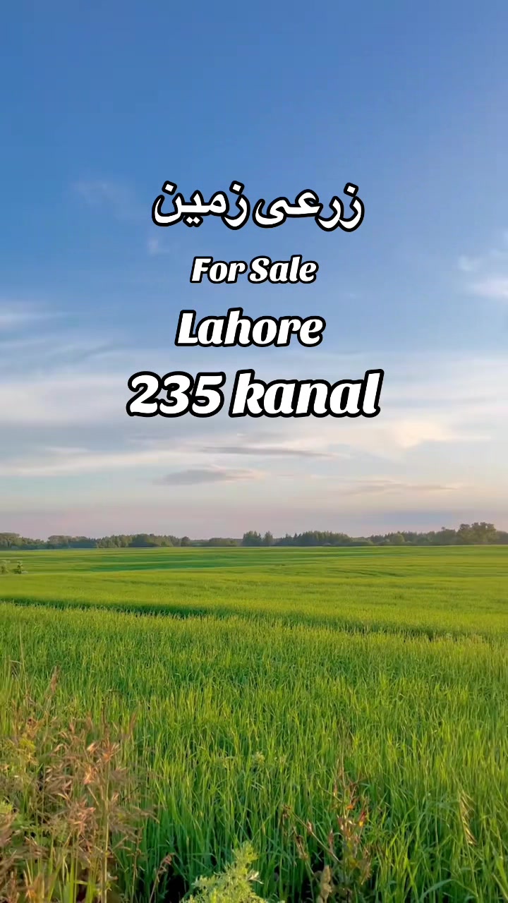 @arkmarketing572