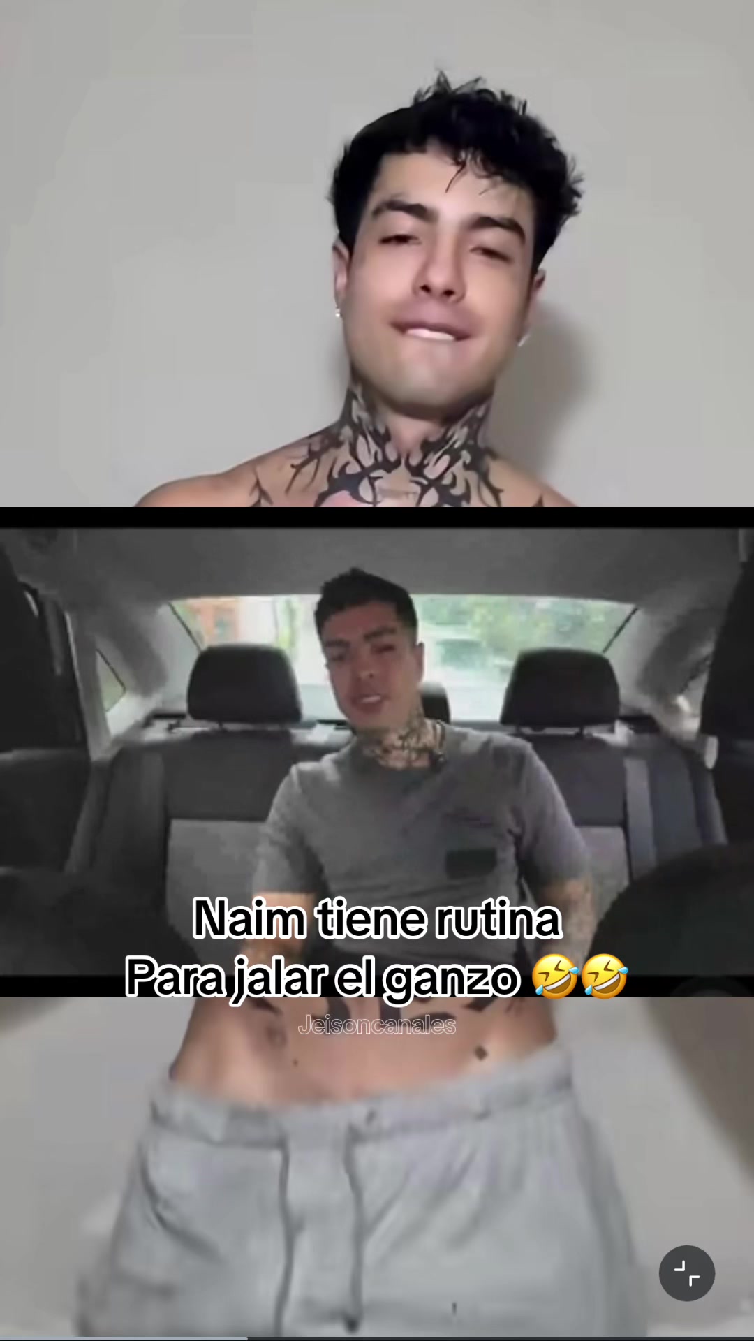 @Jeison Canales🐧🦜🐯🐢
