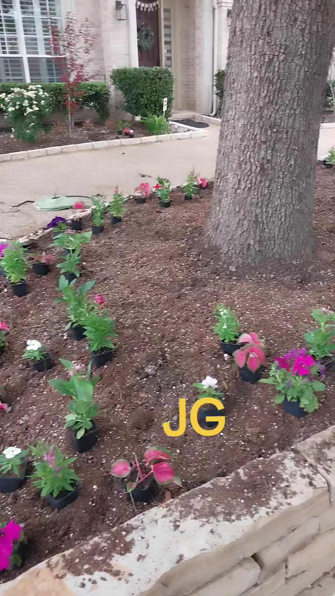 @JG Garcia70725