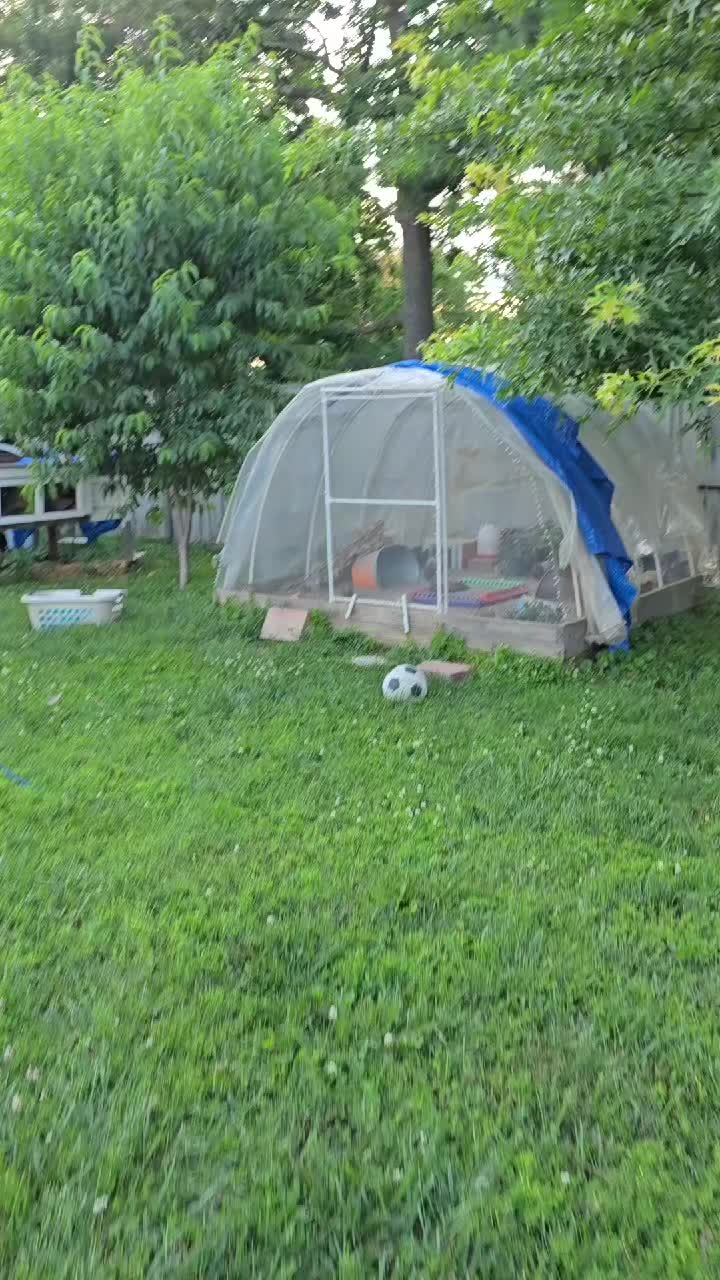 @ActiveMommy